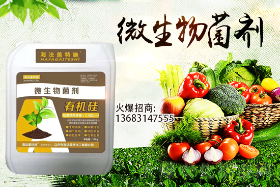 �������u��������m(x��)�͜�����������Ҫ�c(di��n)��