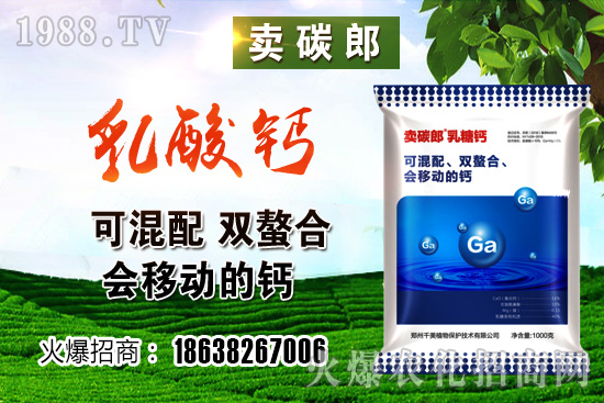 ���������^����С���r(ji��)�����w��λڅ��(w��n)��