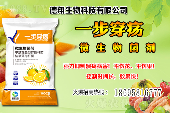 ��(gu��)�a(ch��n)�󶹃r(ji��)��(w��n)���е���2020-12-21�����������ֵ؅^(q��)��������