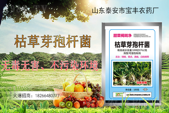 �ݲ�ѿ�ߗU���ܽ�Q������Щ���}���ݲ�ѿ�ߗU�����r(n��ng)�����ϵđ�(y��ng)�ã�