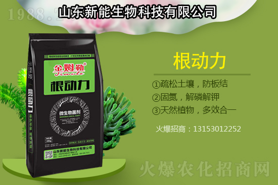 �������������ԭ�����ģ���Q����������ʩ��ô����