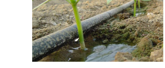 �B(y��ng)���ٸ����ЙC(j��)ˮ�ܷ���-һ���r(n��ng)�I(y��)_09