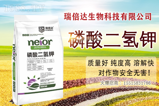 ����ʹ�������������a�������������⛵ĸ��Ѵ�n����Щ(�ղذ�) 