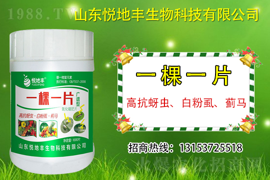 �߿����x���׷�ʭ���E�R��ʲô����һ�x������