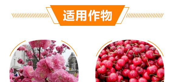 �ЙCˮ�ܷ���-���ĵ���-һ���r(n��ng)�I(y��)_09