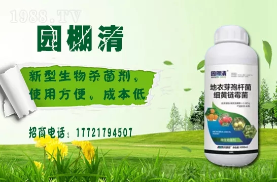 �������⛶�����Ч���Æ������������������ֲ�￹����������