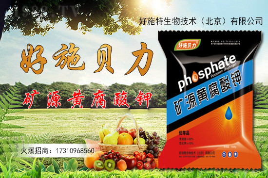 �󽪶����X(qi��n)һ�����󽪷Nֲǰ������������Nֲ���g(sh��)��