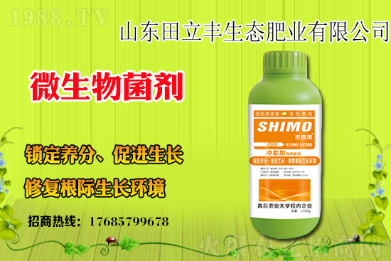 ���{��ԓ��ηNֲ�����{���Nֲǰ����Ч����ô����