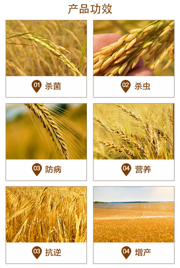 С���߮a(ch��n)�ײͣ���Ч��һ��-������-̩����_03