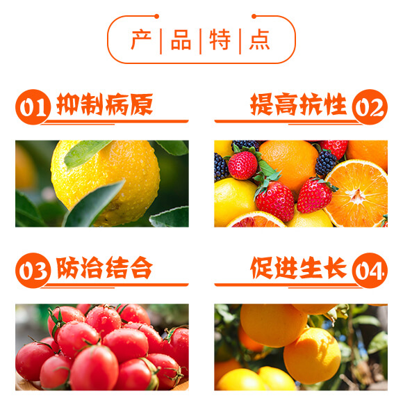 ΢�������-�����o�n-��������_04