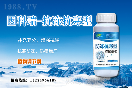 今日稻谷價格多少錢一斤？2020年12月9日稻谷價格行情
