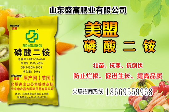 ����С���r��߀���^�m(x��)�ϝq����12��С���r���������