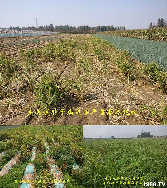     �l(f��)�������a(ch��n)Ʒ������أ�n������ʽ���ؠ����Ӳ����Ñ���������Ч����������