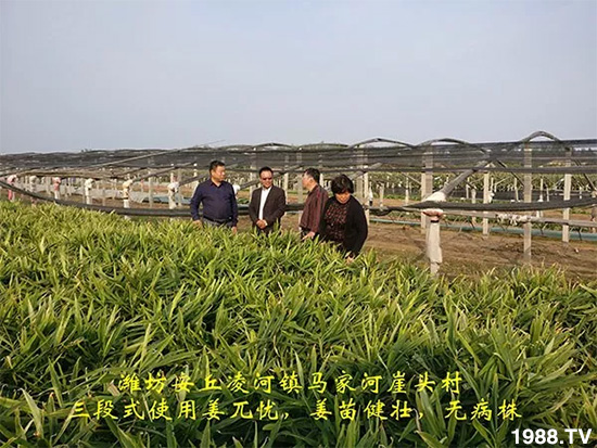     �l(f��)�������a(ch��n)Ʒ������أ�n������ʽ���ؠ����Ӳ����Ñ���������Ч����������