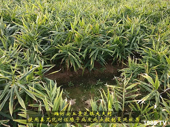     �l(f��)�������a(ch��n)Ʒ������أ�n������ʽ���ؠ����Ӳ����Ñ���������Ч�������ˣ�