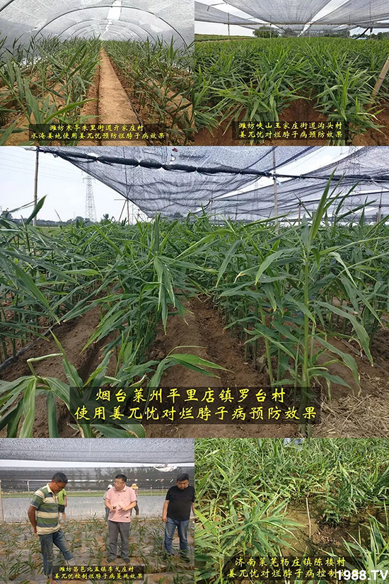     �l(f��)�������a(ch��n)Ʒ������أ�n������ʽ���ؠ����Ӳ����Ñ���������Ч�������ˣ�