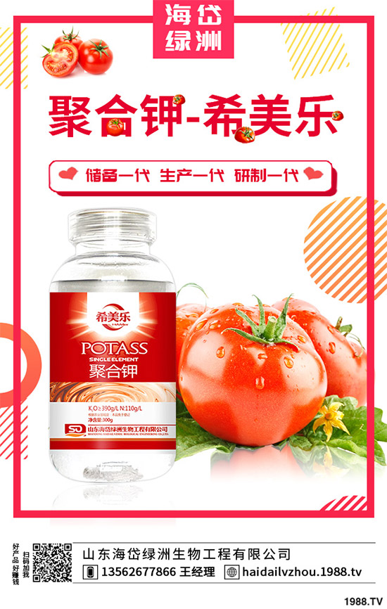 ¶������