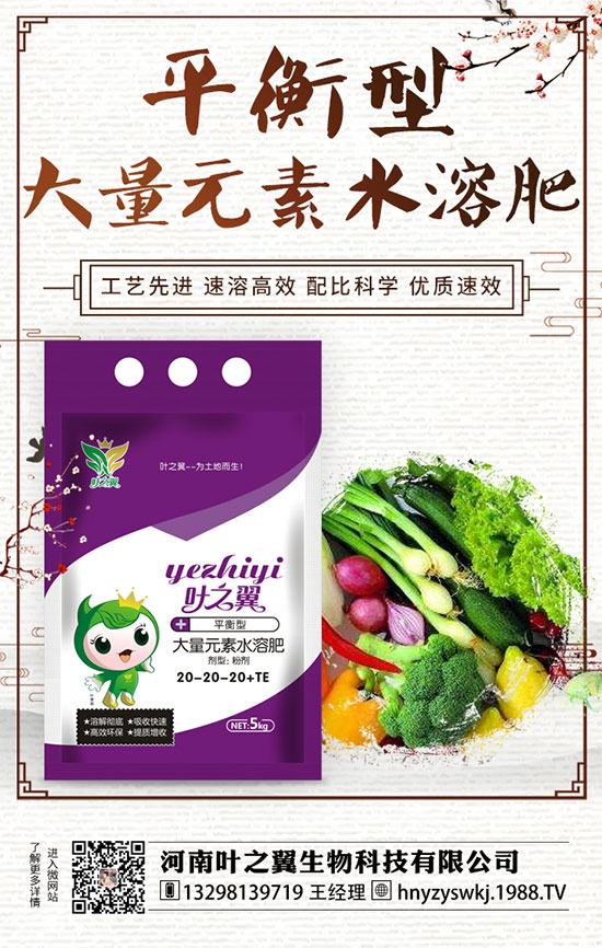 ĵ��ʲô�r(sh��)���_(k��i)����������L(zh��ng)ĵ���_(k��i)���r(sh��)�g��