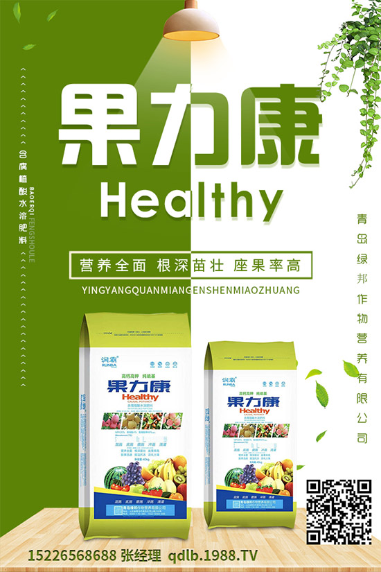 �����ĸ������g�Y���������ĸ����İl(f��)��Ҏ(gu��)�ɼ�������