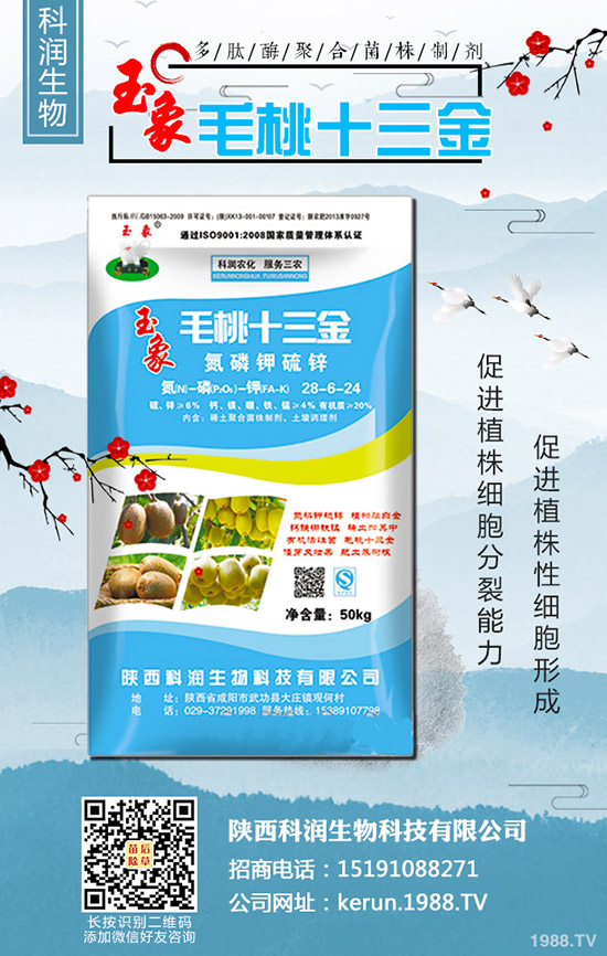     ���裺�����B�m(x��)�q�r(ji��)�����L(f��ng)�U(xi��n)��᣿2020-3-13��������(b��o)�r(ji��)��