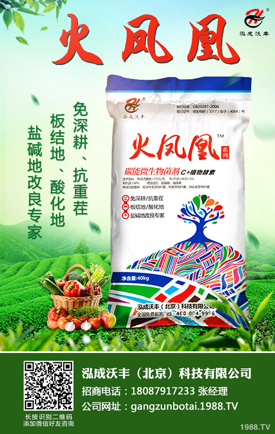 ��Ҋ�������ɺ��x����Щ���������ɺ��x������磿