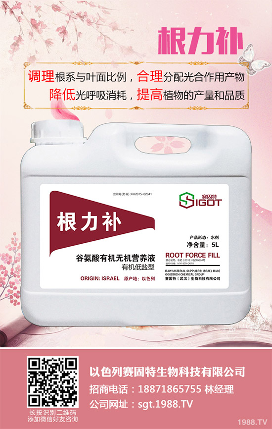 С��������Ҋ(ji��n)�Ĳ�������Щ��ԓ��η���������С���������η�����B