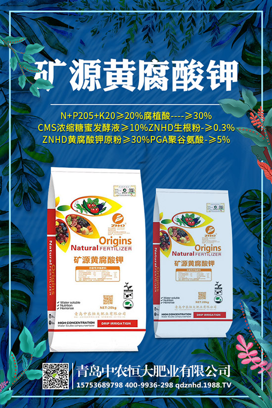 �紺���˷Nֲ���g����Щ�����g����Ҫע��ʲô��