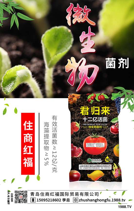 番茄肥害的典型癥狀有哪些，番茄發(fā)生肥害怎么辦？