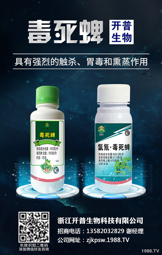 ���ľʭΣ�����c(di��n)��������(x��)�������ľʭ�İl(f��)���c����