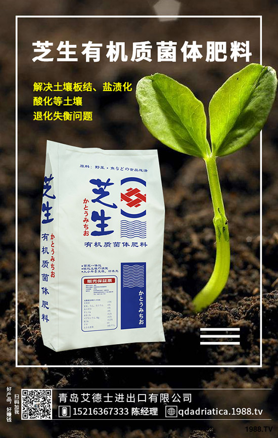 ��������ô��Ч�������������ص�ʹ�÷�����