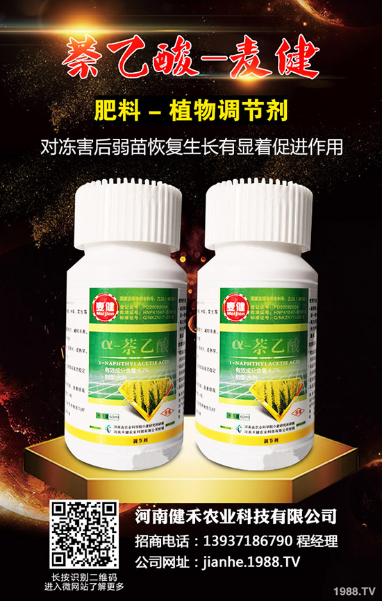 辣椒溫室白粉虱蟲害嚴重怎么辦，辣椒溫室白粉虱的發(fā)生與防治！
