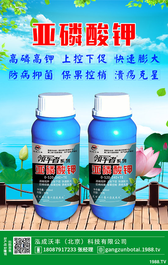 �ЙC(j��)�߲��c�o�����߲˵ą^(q��)�e���o�����߲���η��x��