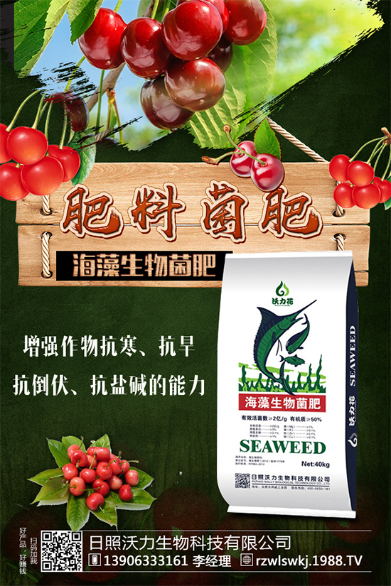 �R���Ј�ǰ����ô�ӣ��R��Nֲ����Ҫ�c����Щ����