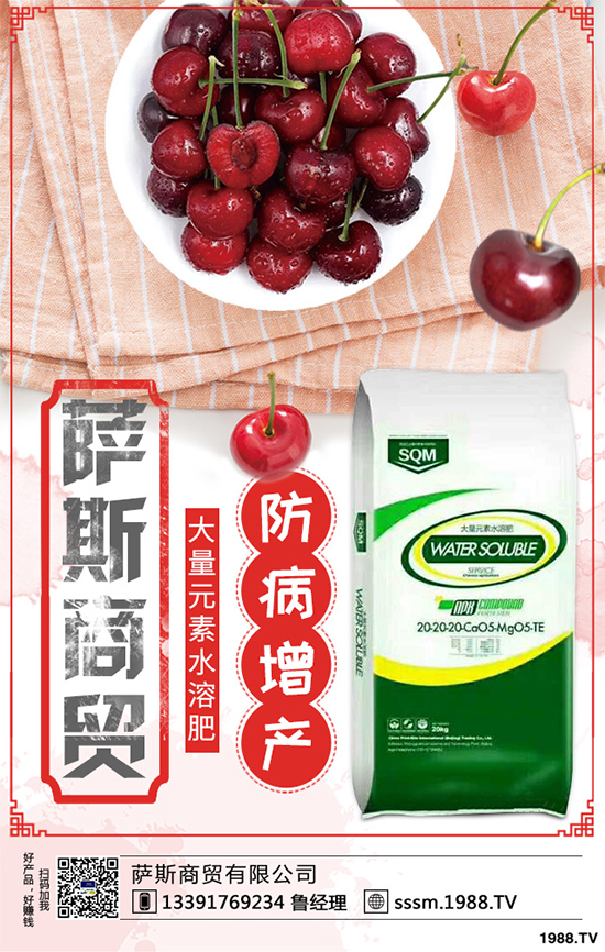 ������ԓ��ηNֲ���紺���׸߮a(ch��n)�Nֲ���gҪ�c