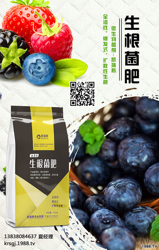 長壽花盆栽施肥要注意哪些問題，長壽花盆栽施肥要點！