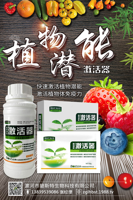 ������ô�N�ɻ��ʸ�������ʲô�r��Nֲ���ã�