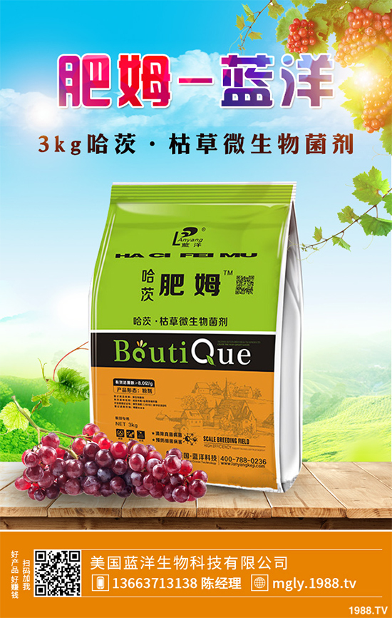 ������(sh��)ԓ��ηNֲ�����������p�ɷN���߮a(ch��n)������