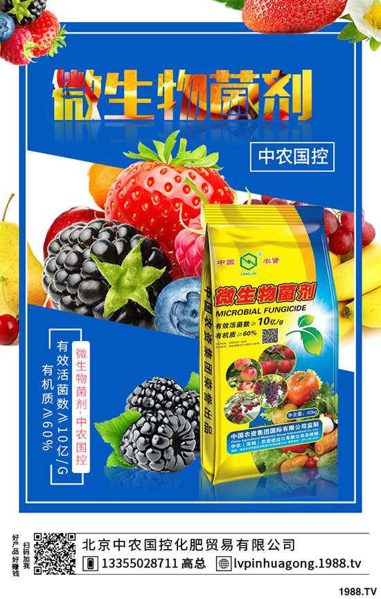 �����ʲô�I(y��ng)�B(y��ng)�r(ji��)ֵ����ϵĹ�Ч��ʳ��ע�����(xi��ng)��