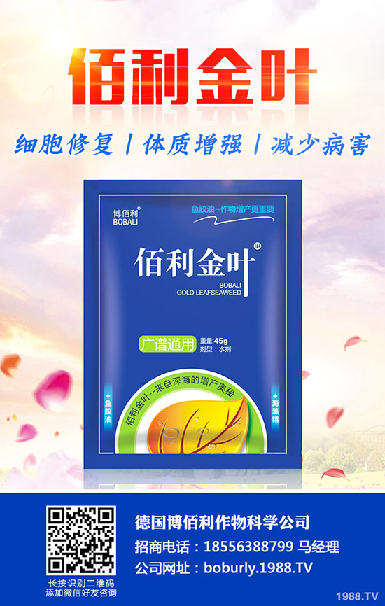 ��������A���ʺ����l(f��)���ʺ�������a����