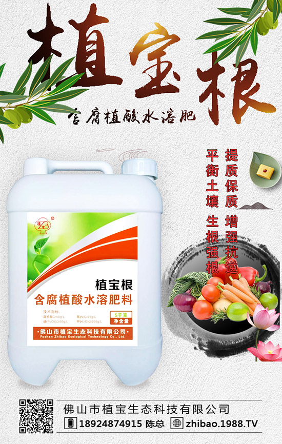 �紺���������Jʲô�r�g�N�������J��ֲ�����Ҫ�c��