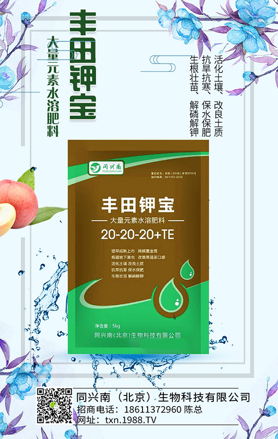 �㶹ʲô�r��N���㶹�Nֲ�r�g���NֲҪ�c(di��n)��