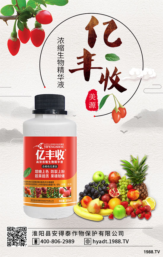 ���Ҙ����zʲô�Y����Ҙ����z��ô������