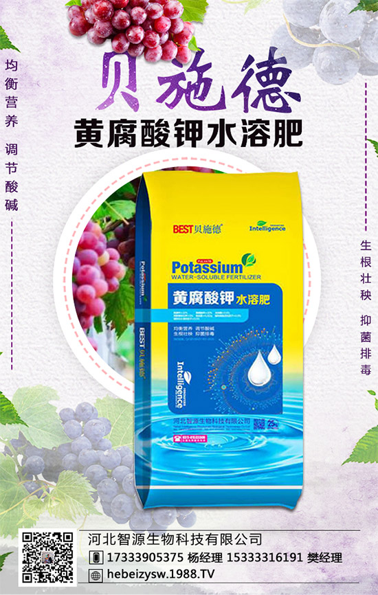 �۲˵ĠI�B(y��ng)�rֵ����Щ�������۲���ʲô��̎��