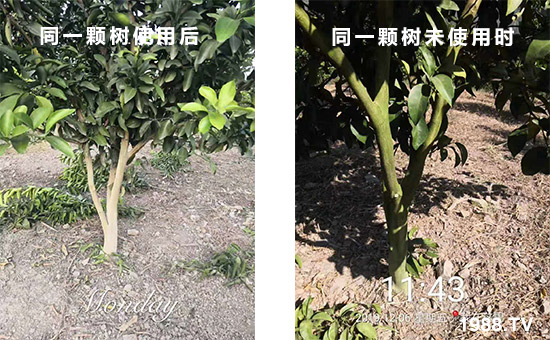 ͬһ�w��ʹ�ú��ͬһ�w��δʹ�Õr(sh��)��