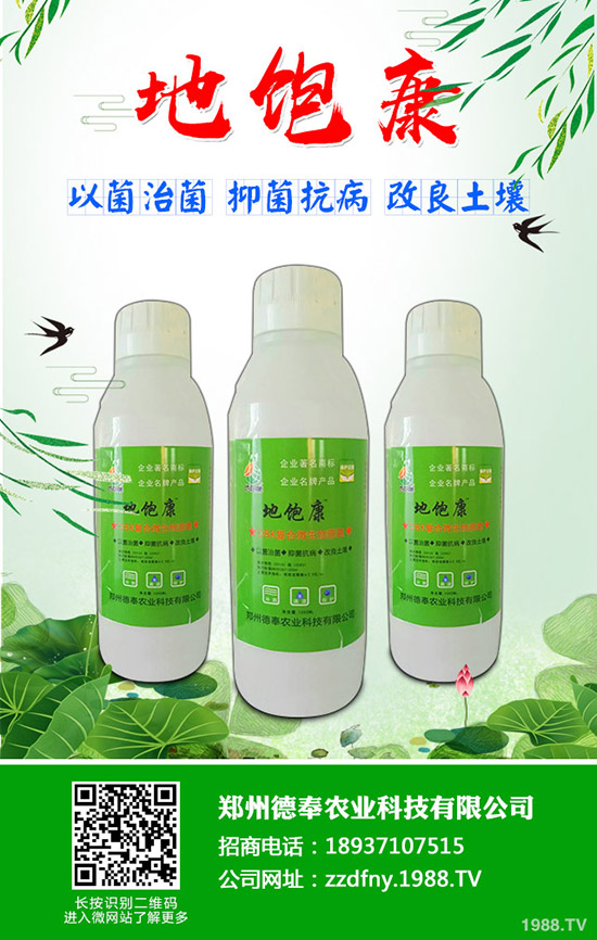 �ϹϺ��ǲ�����Щ�Y�����ϹϺ��ǲ����η���