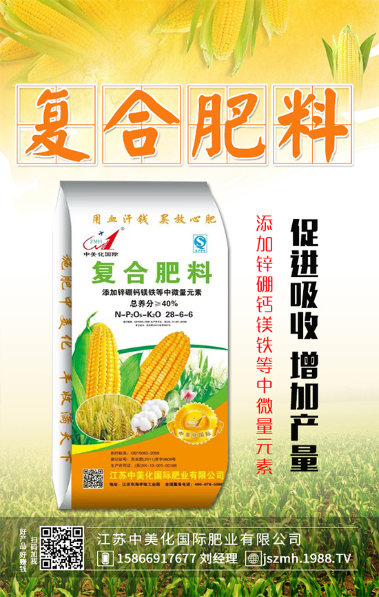 ����ʲô�r(sh��)�g���磿����������������Ҫ�c(di��n)��