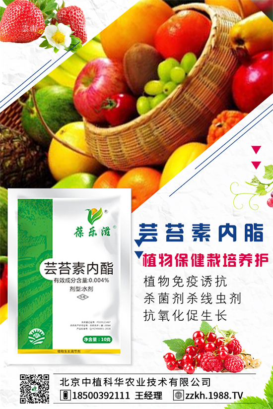 ���Ҫ��ô�Nֲ�����ˮ�ʹ���Ҫ�c(di��n)��