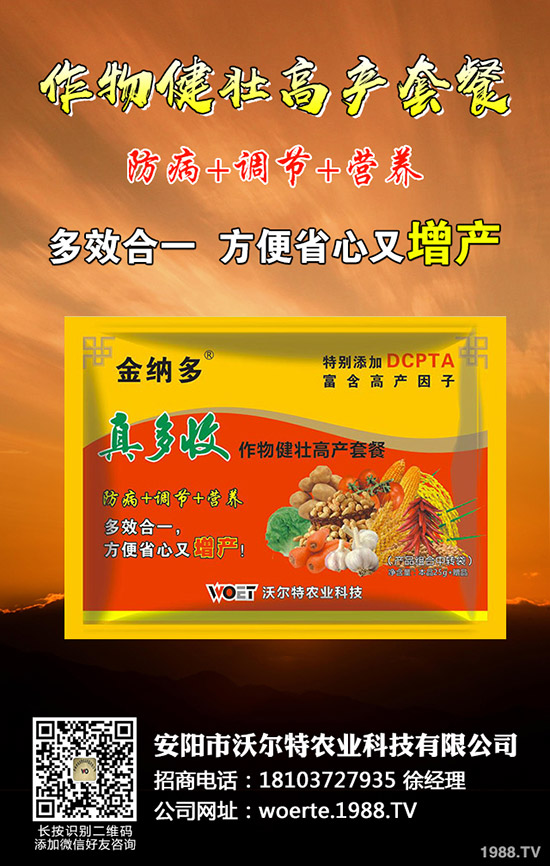 ������ô�N����ã����ѷNֲ�r�g�����༼�g(sh��)��