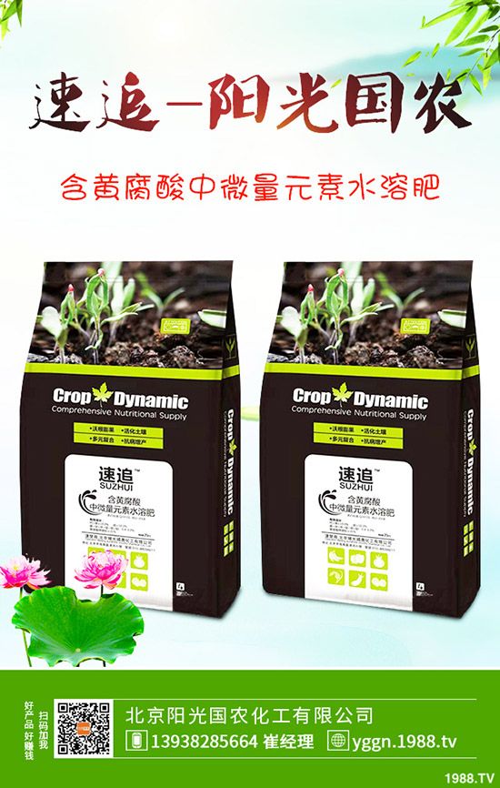     2020-4-10�׷ʴ����Ј���β�A�������@�r�����{(di��o)���������������߄ݷ�����