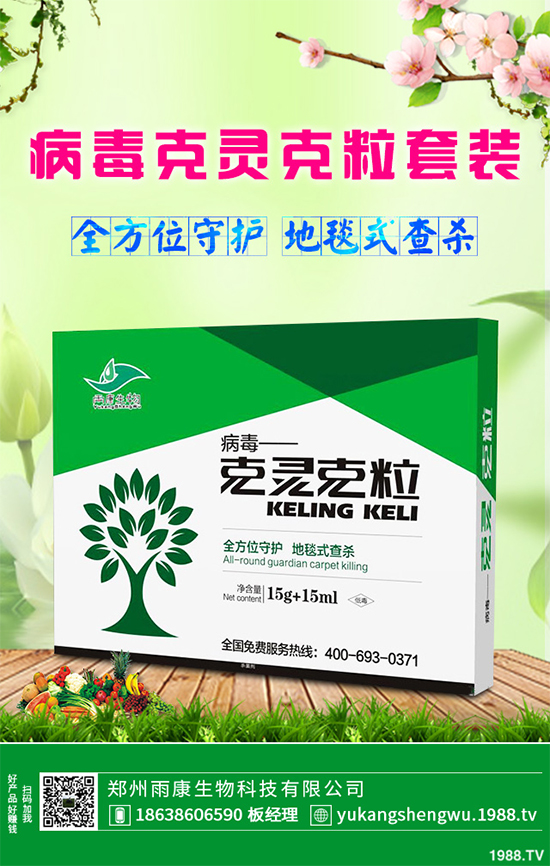 �W�ˌ�Ҫ���á���ɭ�i�\����